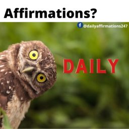 Artwork for Daily Affirmations 247