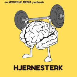 Artwork for Hjernesterk