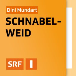 Artwork for Dini Mundart - Schnabelweid