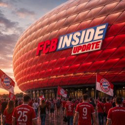 Artwork for FCBinside Update