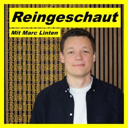 Artwork for Reingeschaut