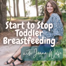 Artwork for Start to Stop Toddler Breastfeeding