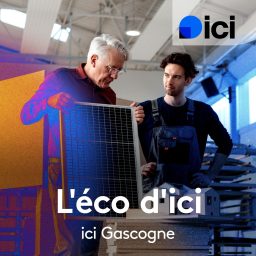 Artwork for L'éco d'ici dans les Landes