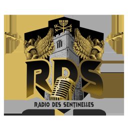 Artwork for Radio Des Sentinelles