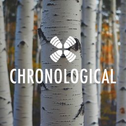 Artwork for 1 Year Daily Audio Bible Chronological