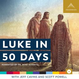 Artwork for Luke in 50 Days