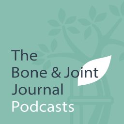 Artwork for BJJ Podcasts