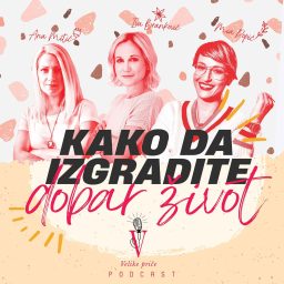 Artwork for Kako da izgradite dobar život