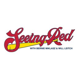 Artwork for Seeing Red