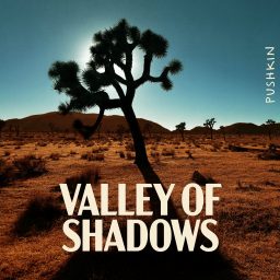 Artwork for Valley of Shadows