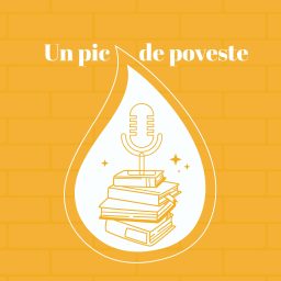 Artwork for Un pic de poveste