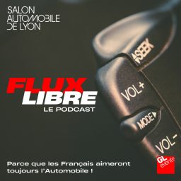 Artwork for FLUX LIBRE