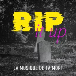 Artwork for RIP it up