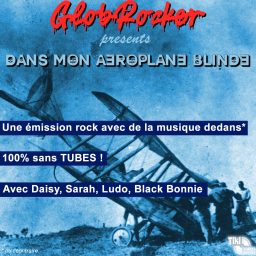 Artwork for DANS MON AÉROPLANE BLINDÉ