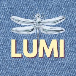 Artwork for LUMI