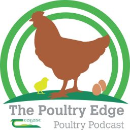 Artwork for The Poultry Edge