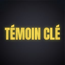 Artwork for Témoin Clé