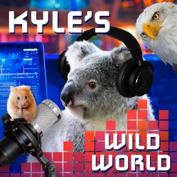 Artwork for Kyle's Wild World