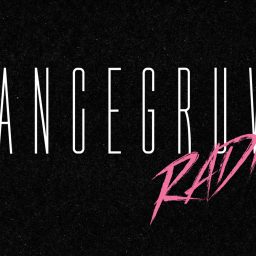 Artwork for DanceGruv Radio