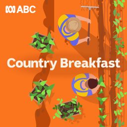 Artwork for Country Breakfast