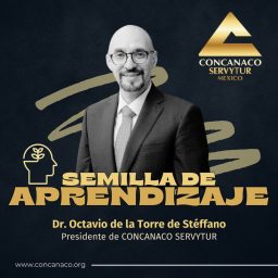 Artwork for Semilla de aprendizaje
