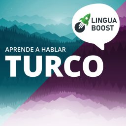 Artwork for Aprende turco con LinguaBoost