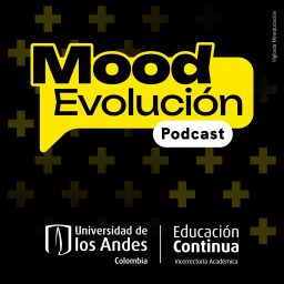 Artwork for Mood Evolución