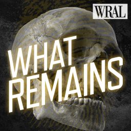 Artwork for What Remains