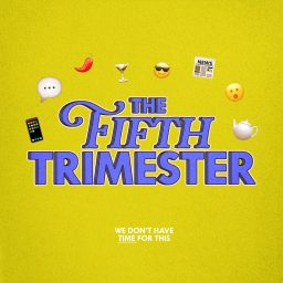 Artwork for The Fifth Trimester