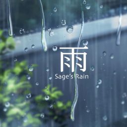 Artwork for Find Solace In The Rain