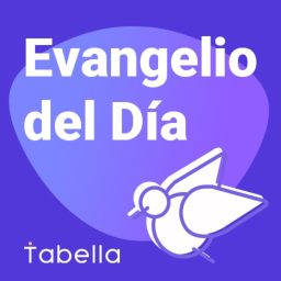 Artwork for Evangelio Católico del Día