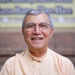 Artwork for Bhakti Sundar Goswami