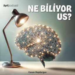 Artwork for Ne Biliyor Us?