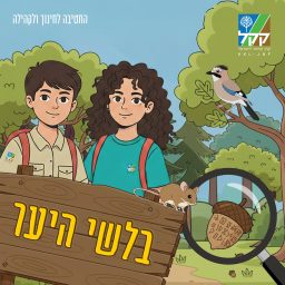 Artwork for בלשי היער