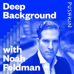 Artwork for Deep Background with Noah Feldman