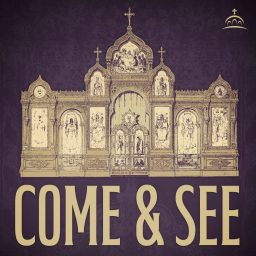 Artwork for Come and See