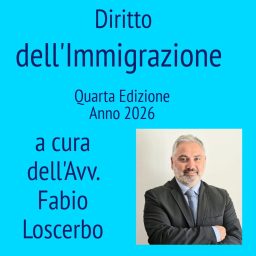 Artwork for Diritto dell'Immigrazione