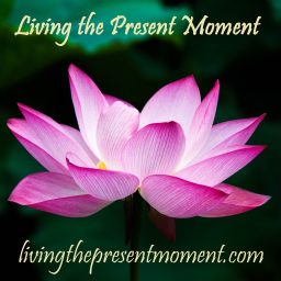 Artwork for Living the Present Moment