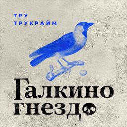 Artwork for Галкино гнездо