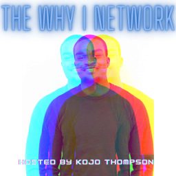 Artwork for The Why I Network