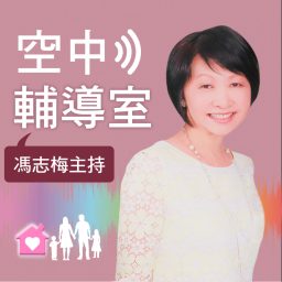 Artwork for 空中輔導室