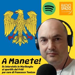 Artwork for A manete