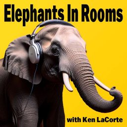 Artwork for Elephants in Rooms