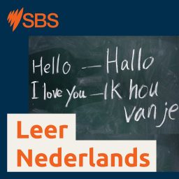 Artwork for Learn Dutch - Leer Nederlands