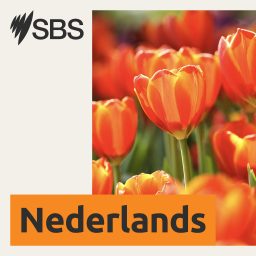 Artwork for SBS Dutch - SBS Nederlands