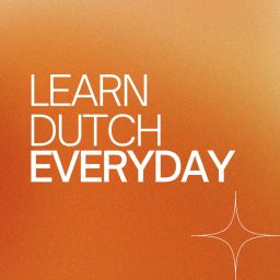Artwork for Learn Dutch Everyday