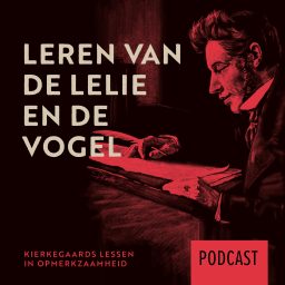 Artwork for Leren van de lelie en de vogel