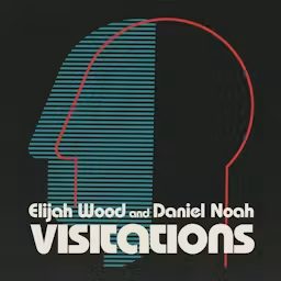 Artwork for Visitations