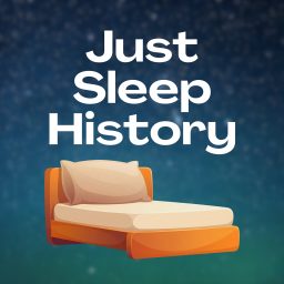 Artwork for Just Sleep History