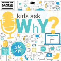 Artwork for Kids Ask Why?